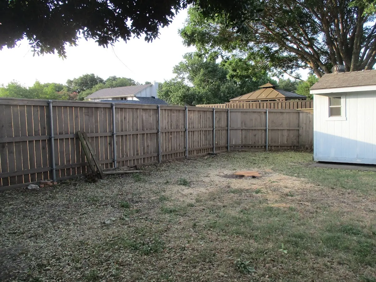 Cleared yard after professional tree removal in Ford City
